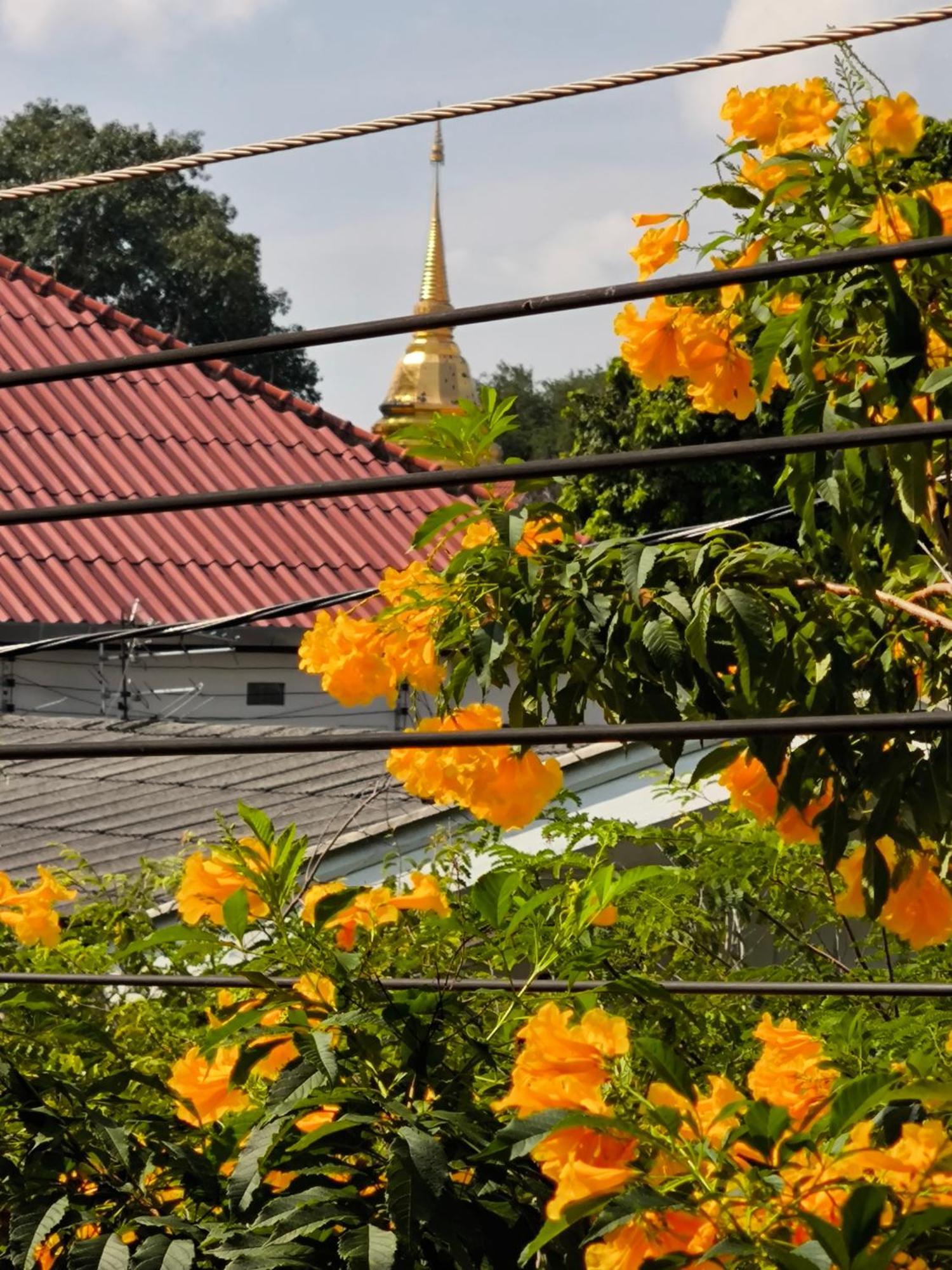 Отель Ratchiangsaen Flora House Чиангмай Экстерьер фото